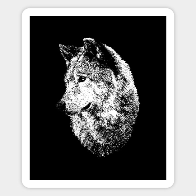 Wolf portrait Magnet by Guardi